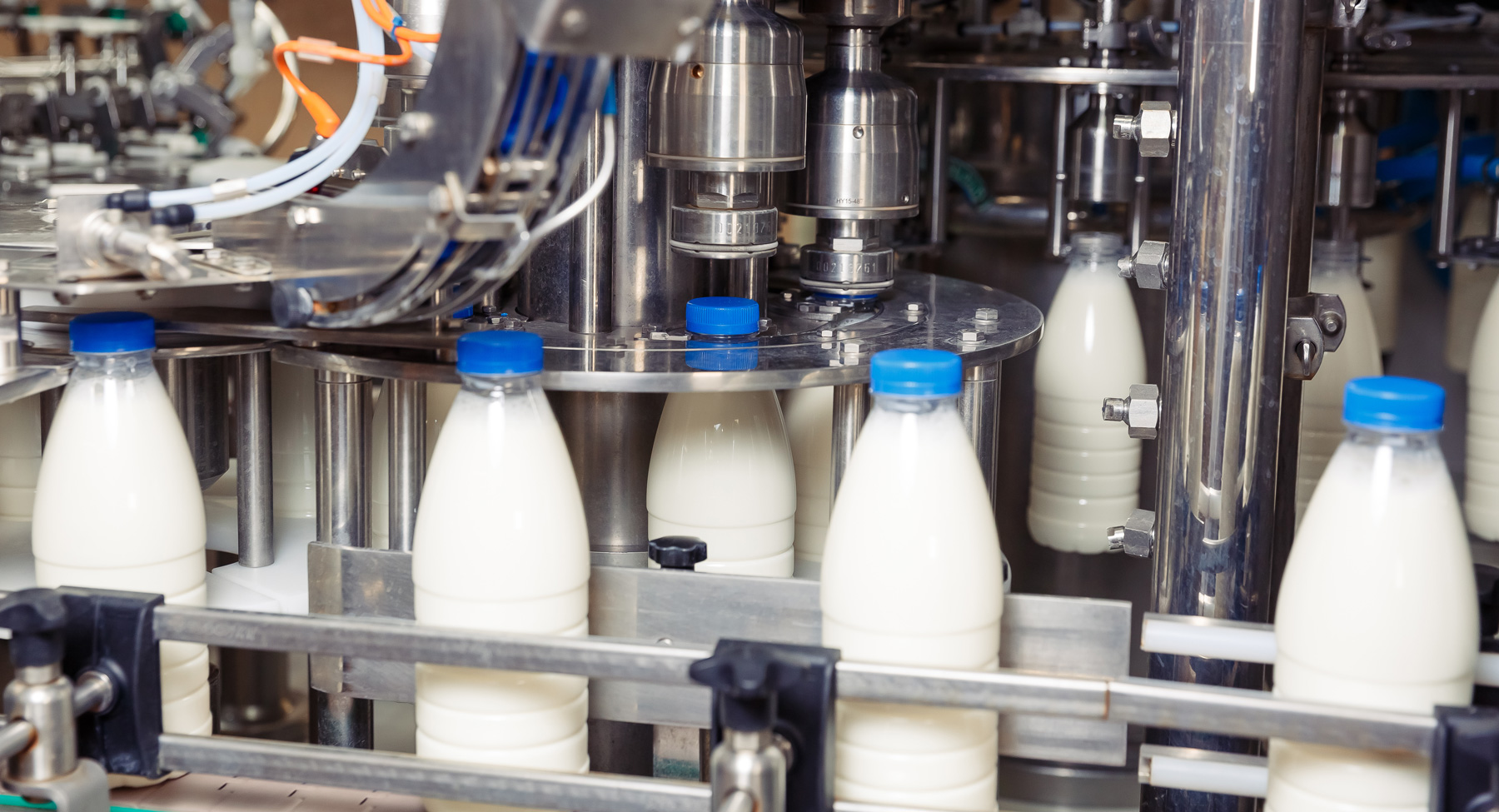 dairy-processing-homepage